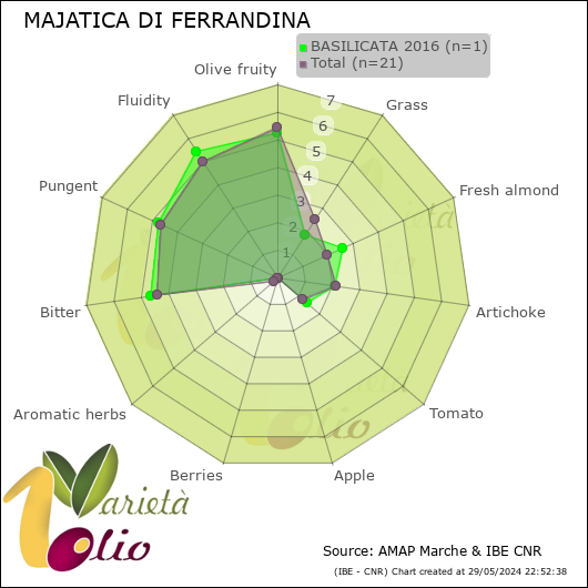 Profilo sensoriale medio della cultivar  BASILICATA 2016